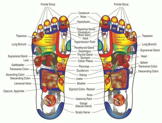 Chinese Foot Acupressure Chart